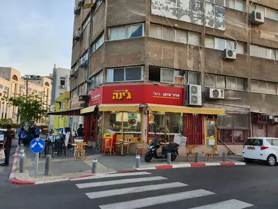 פלאפל ג'ינה