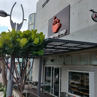 קונדטוריה אלון