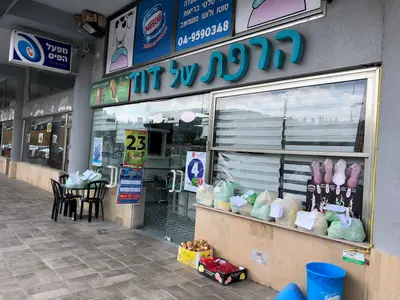 David's Dairy