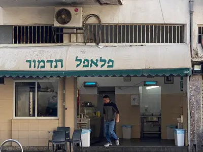 פלאפל תדמור falafel tadmor