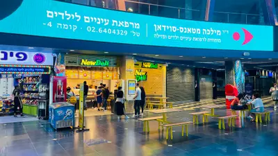 ניודלי Newdeli