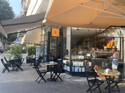 Tatti טאטי - דיזינגוף