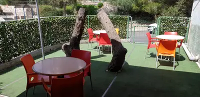 Tu Pizza