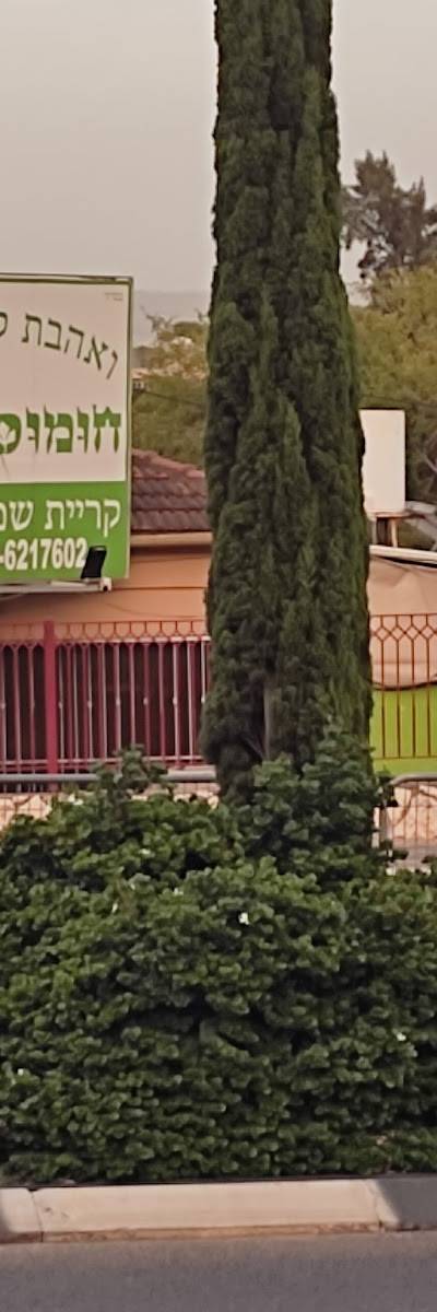 חומוס אליהו - קריית שמונה