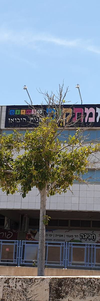 פורטבלו