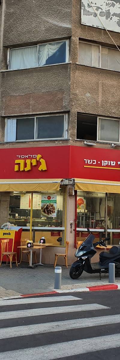 פלאפל ג'ינה