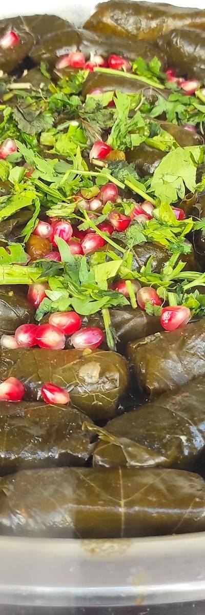 שמשירי מסעדה פרסית בתל אביב