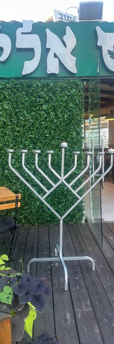 חומוס אליהו רעננה