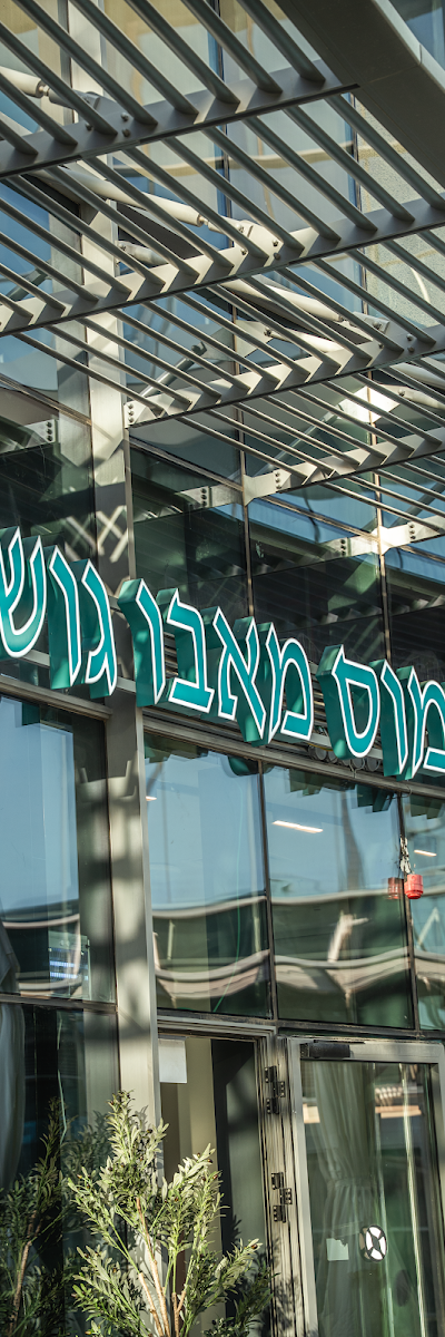 החומוס מאבו גוש