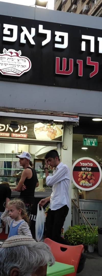פלאפל שווארמה עלוש