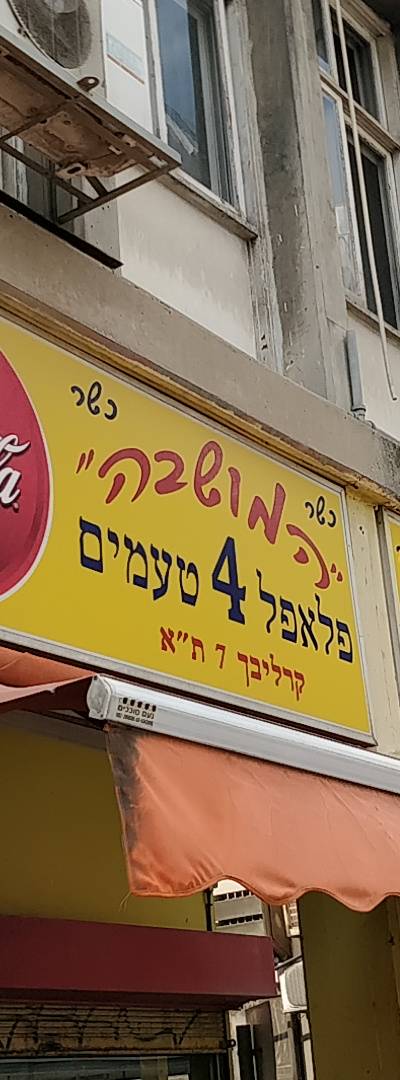 Falafel 4 Flavors