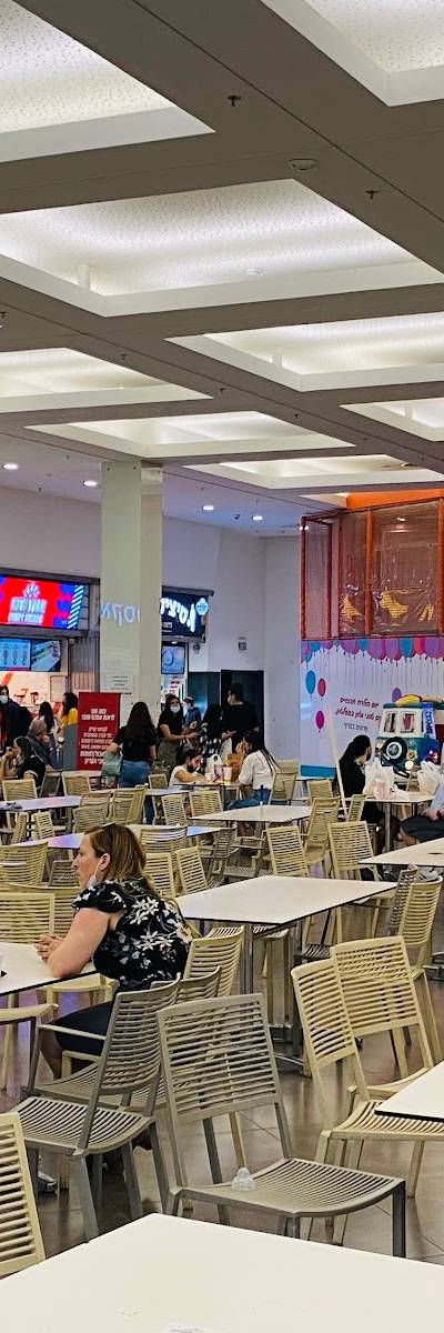 ניודלי Newdeli
