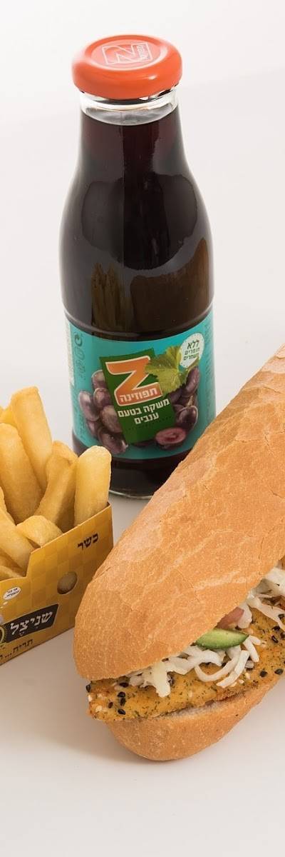שניצל 20 טעמים