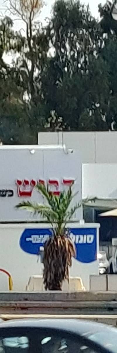 Shwarma Dabush Netanya