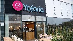 Yogurteria